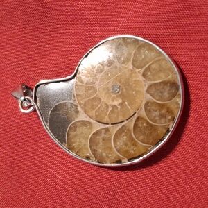 Ammonite Fossil Pendant 2